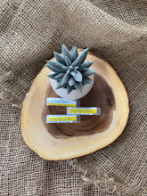 Load image into Gallery viewer, Tinted Zinc Lip Balm with SPF 15 Protection | Zinc + Tallow + Beeswax | Natural Lip Moisturizer