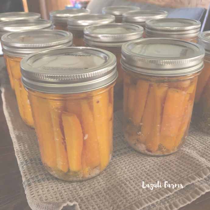 Pickled Dilly Carrots in the Water Bath Canner