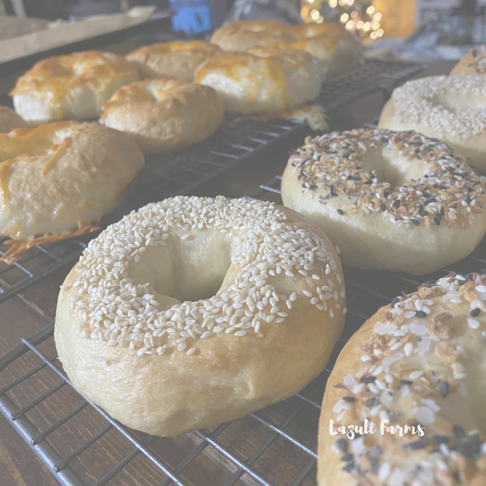 Homemade Bagels {Easy to Freeze}
