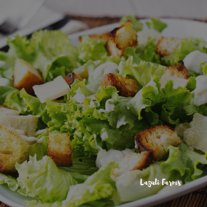 Caesar Salad with Lazuli Farms bacon and Homemade Dressing