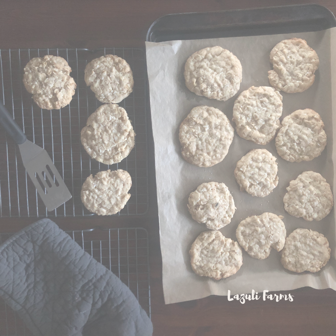 Oatmeal Coconut Cookies a.k.a. Dad's Cookies