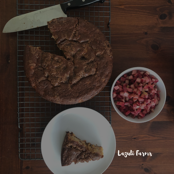 Rhubarb Coffee Cake Recipe