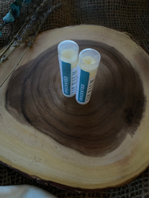 Lip Balm Unscented | Tallow + Honey + Beeswax + Shea | Nourishing & Hydrating Lip Moisturizer