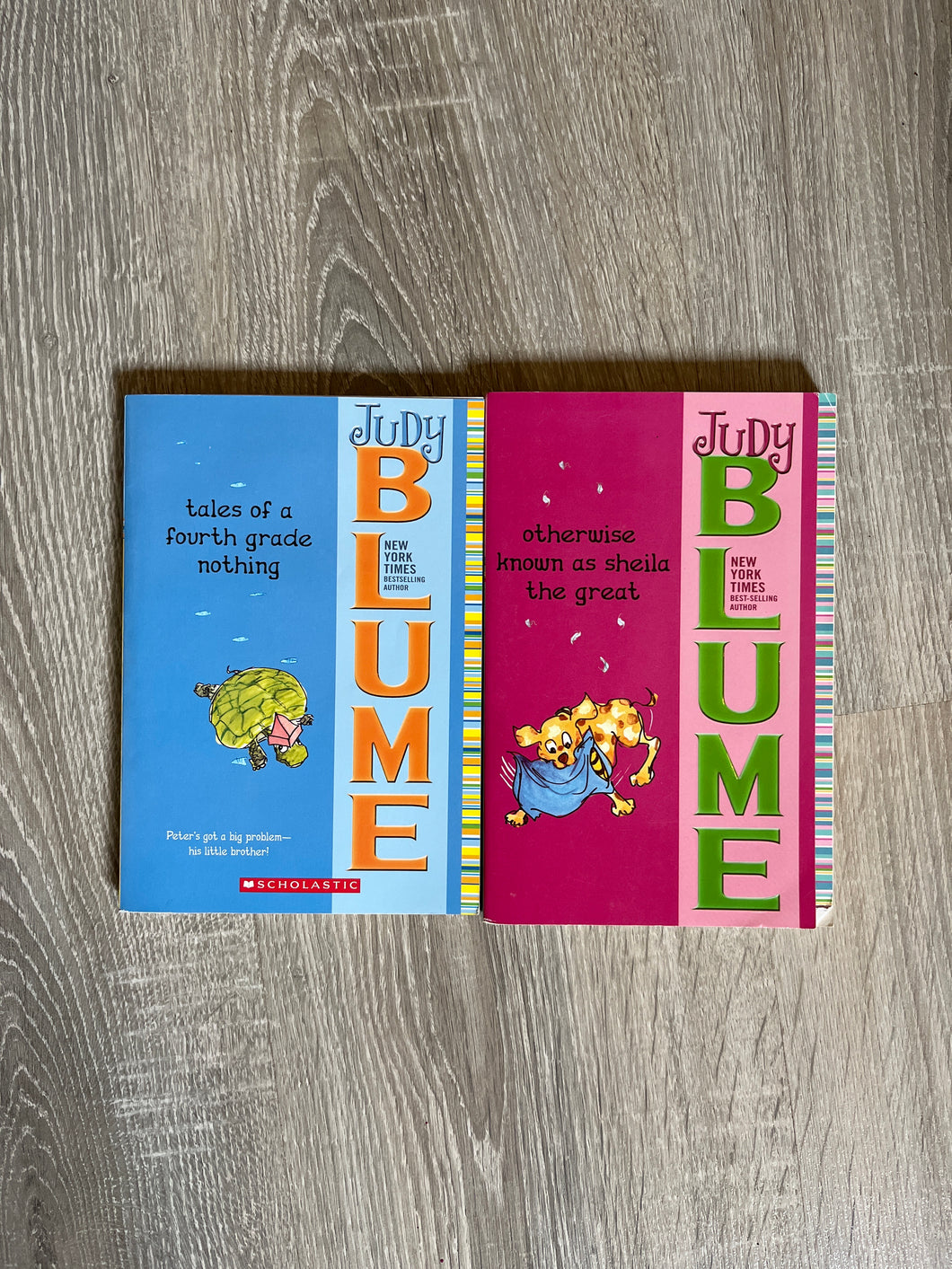 Pair of Judy Blume Books