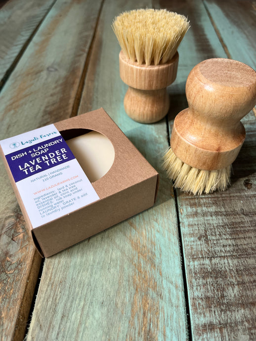 Dish Scrub Brush